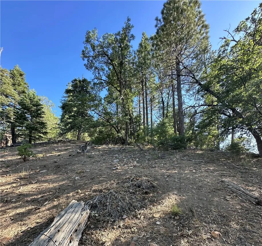 41089 Maryland Road Big Bear Lake, CA 92315