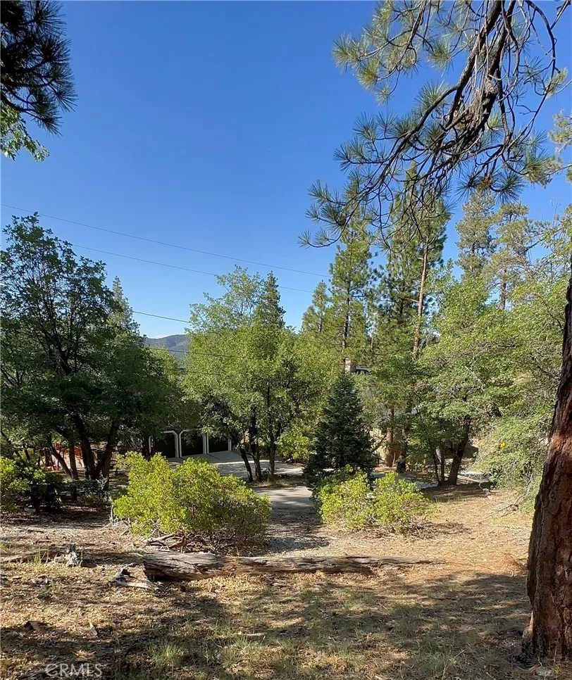 41089 Maryland Road Big Bear Lake, CA 92315
