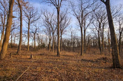 Cobb Road