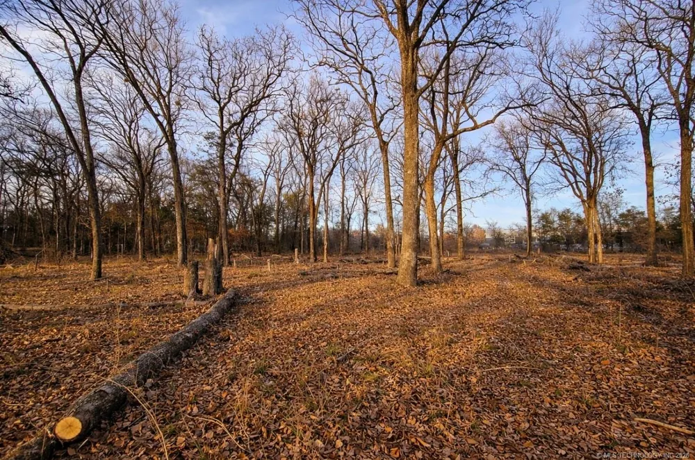 Cobb Road Kingston, OK 73439