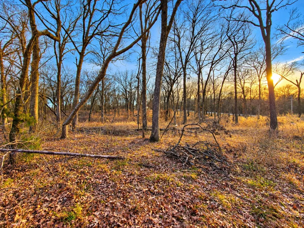 Cobb Road Kingston, OK 73439