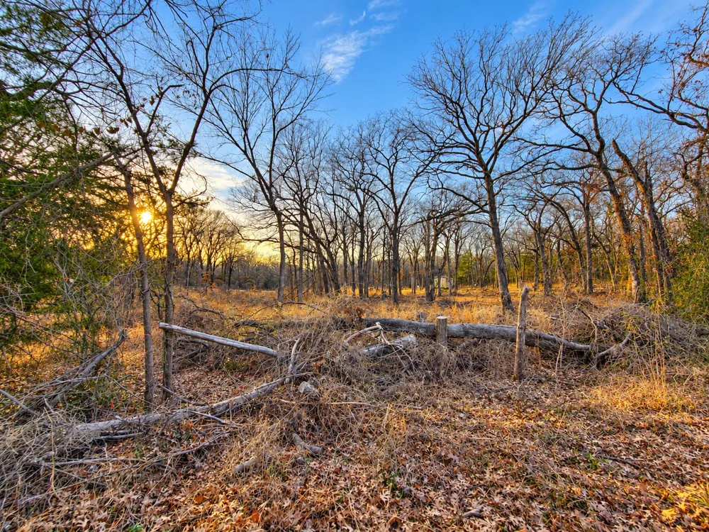 Cobb Road Kingston, OK 73439
