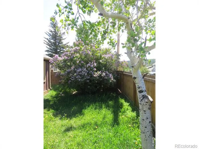 135 E 2nd Street Nederland, CO 80466
