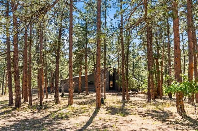 6283 Starlight Drive Morrison, CO 80465