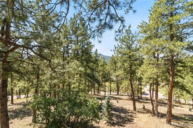 6283 Starlight Drive Morrison, CO 80465