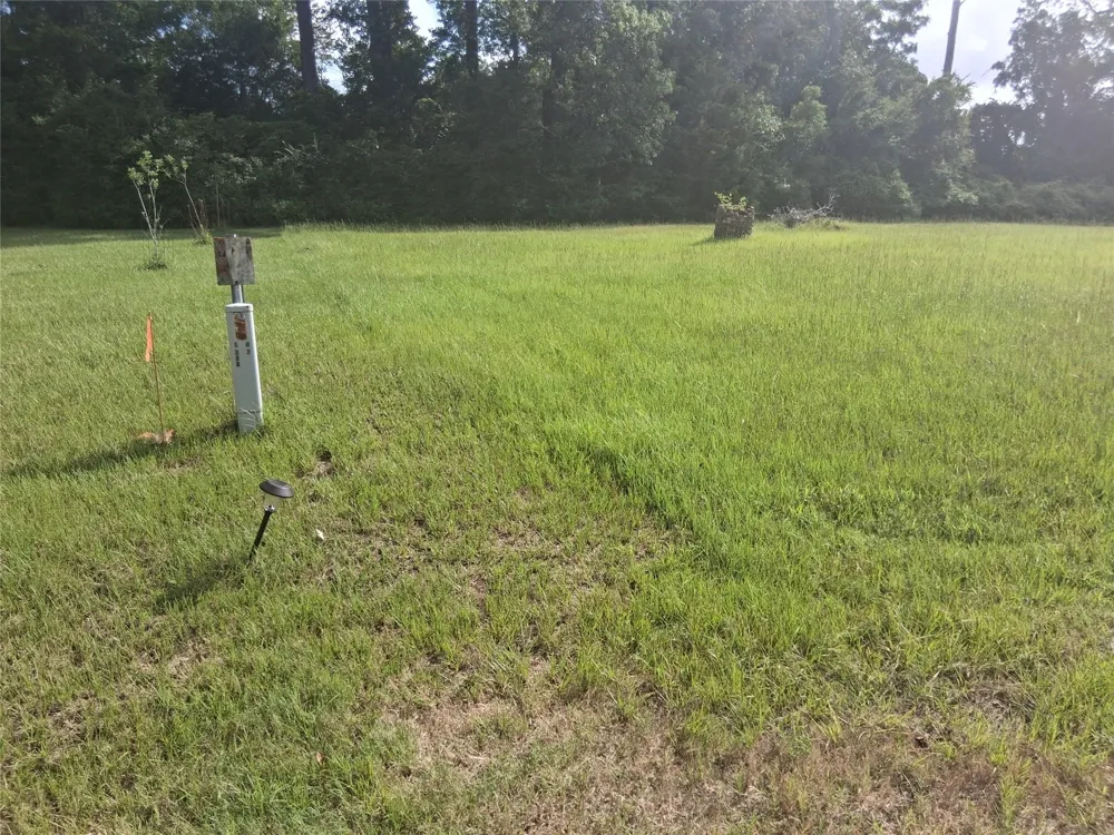Memphis Bell Road Trinity, TX 75862
