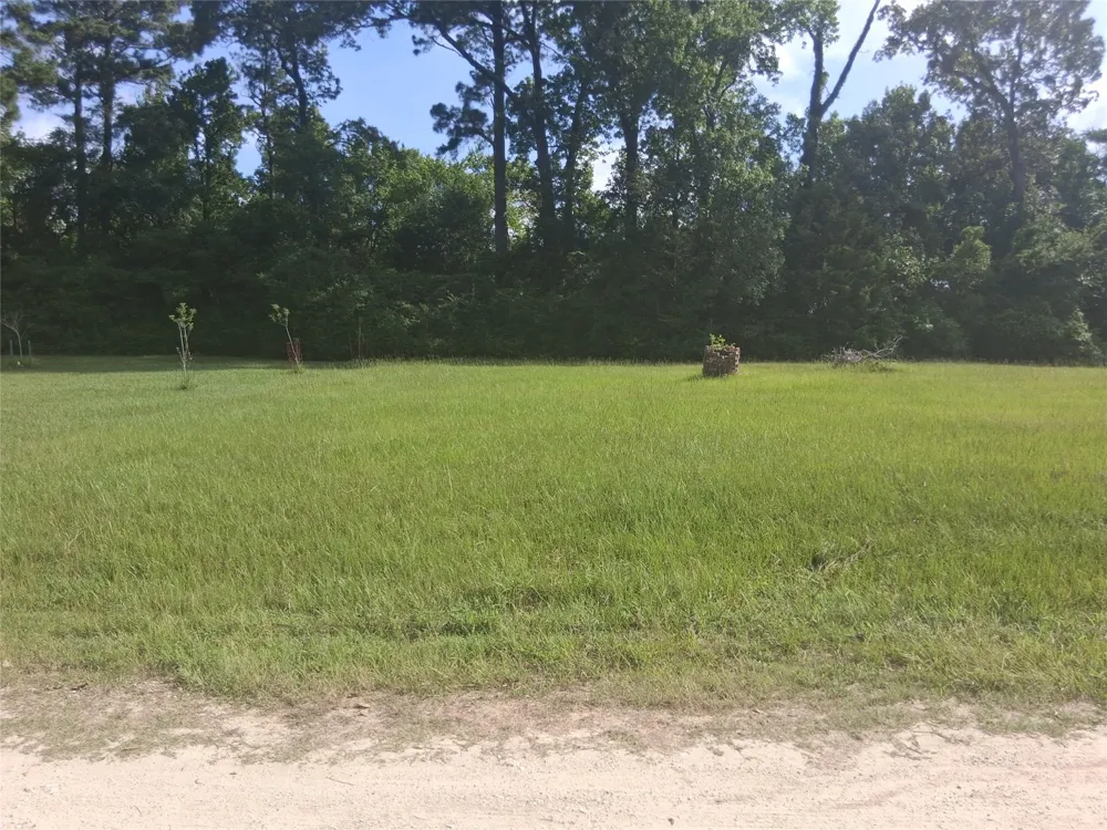 Memphis Bell Road Trinity, TX 75862