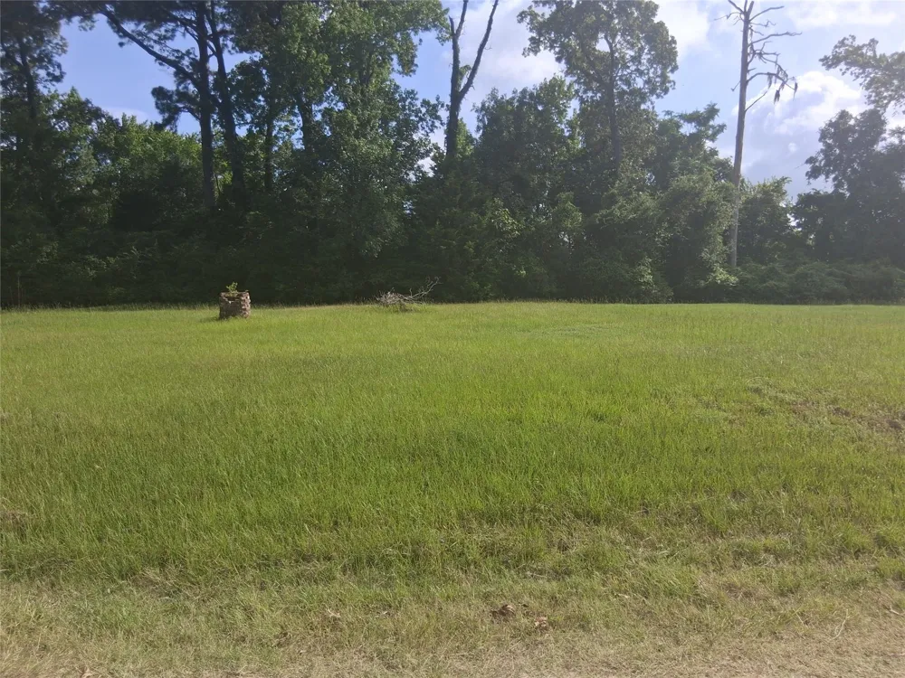 Memphis Bell Road Trinity, TX 75862