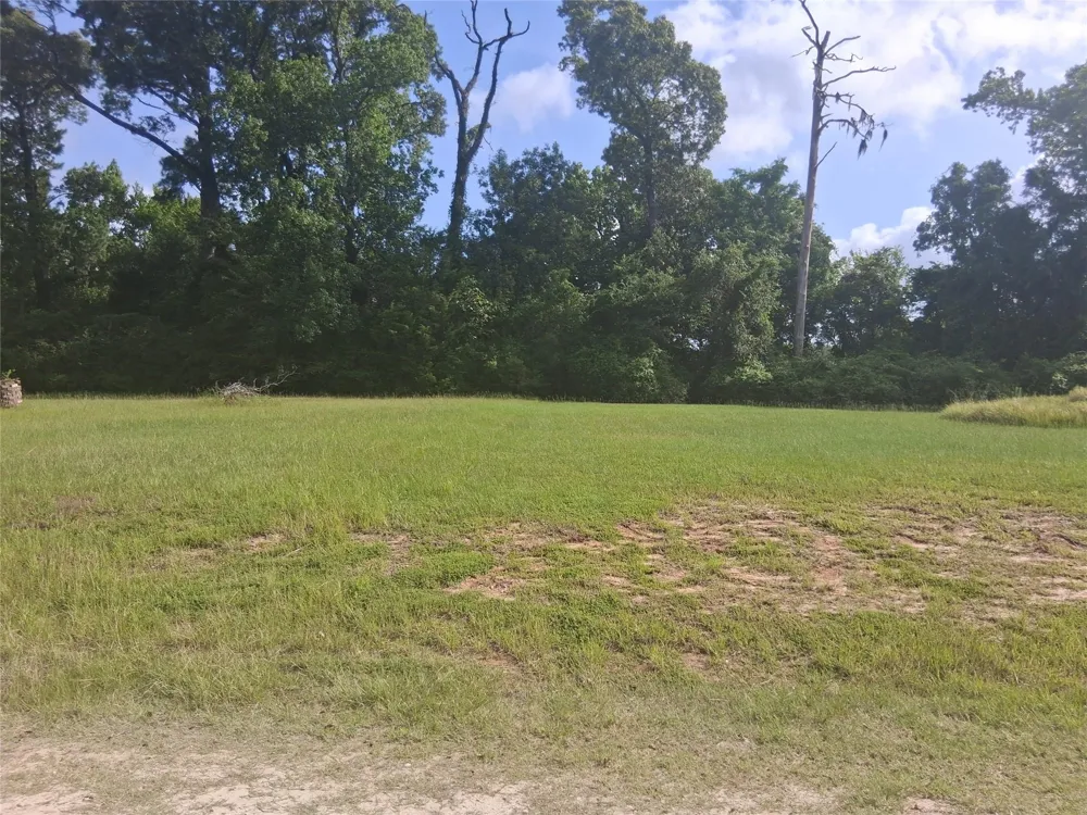 Memphis Bell Road Trinity, TX 75862