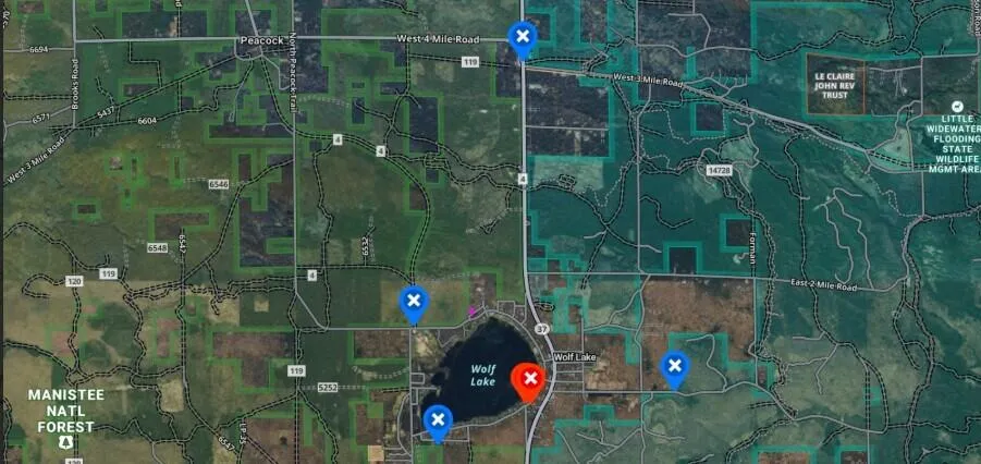 2121 Wolf Lake Drive Baldwin, MI 49304