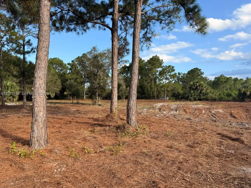 565 S PALOMINO ST Clewiston, FL 33440