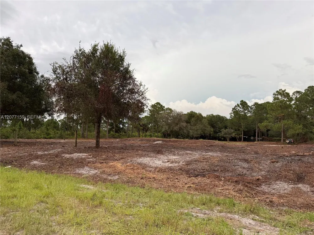565 S PALOMINO ST Clewiston, FL 33440