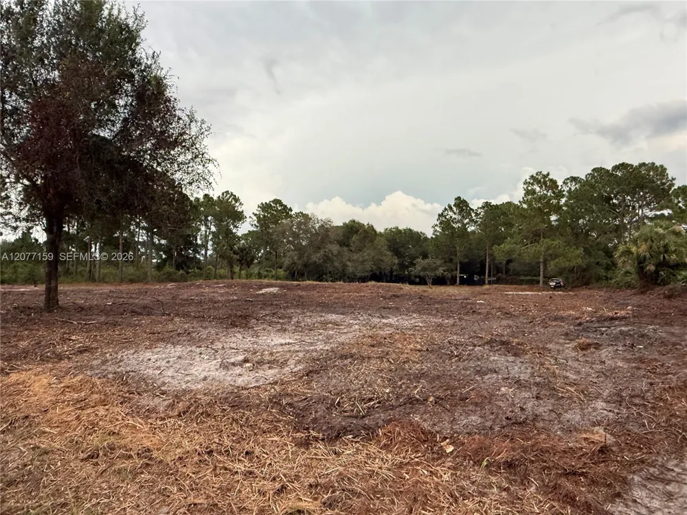 565 S PALOMINO ST Clewiston, FL 33440