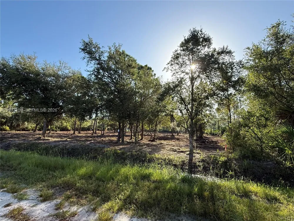 565 S PALOMINO ST Clewiston, FL 33440