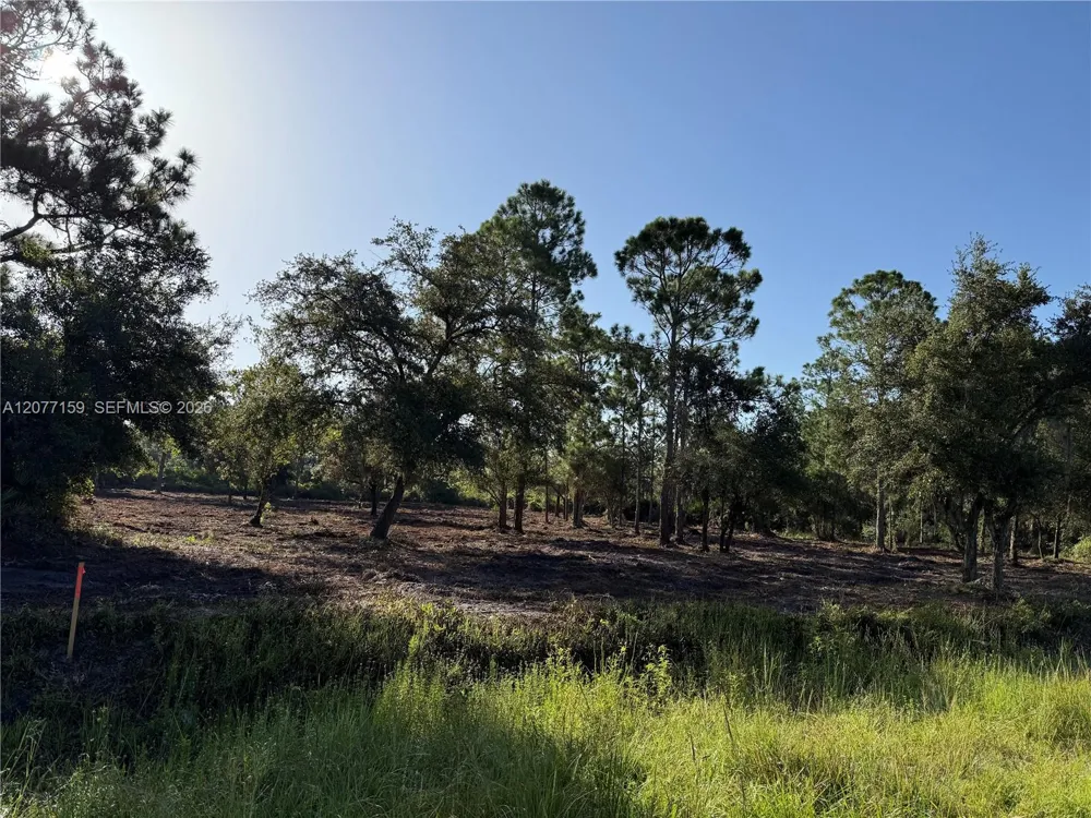 565 S PALOMINO ST Clewiston, FL 33440