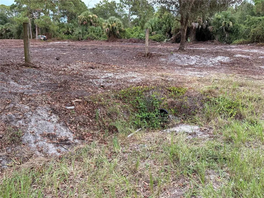565 S PALOMINO ST Clewiston, FL 33440