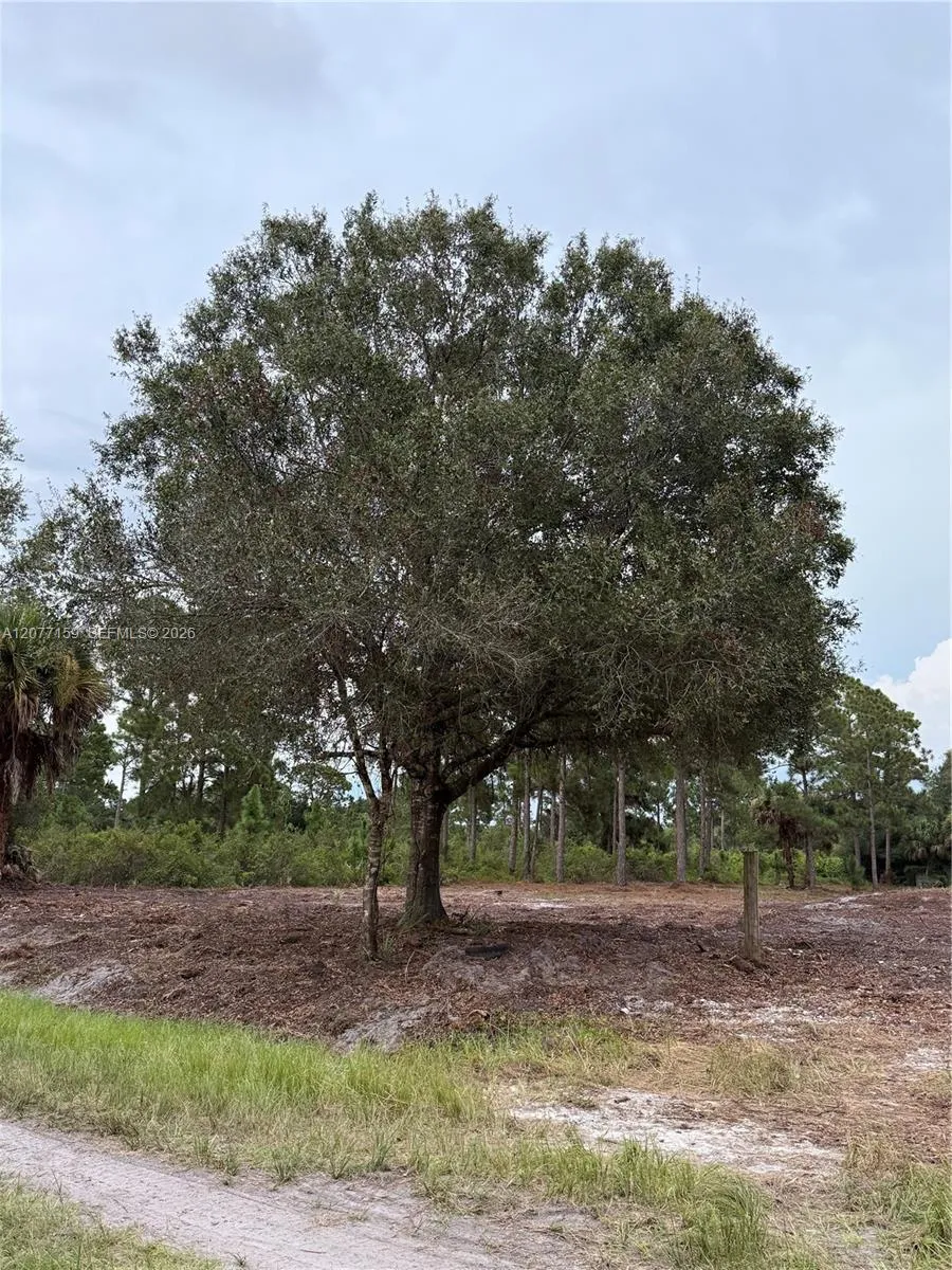 565 S PALOMINO ST Clewiston, FL 33440