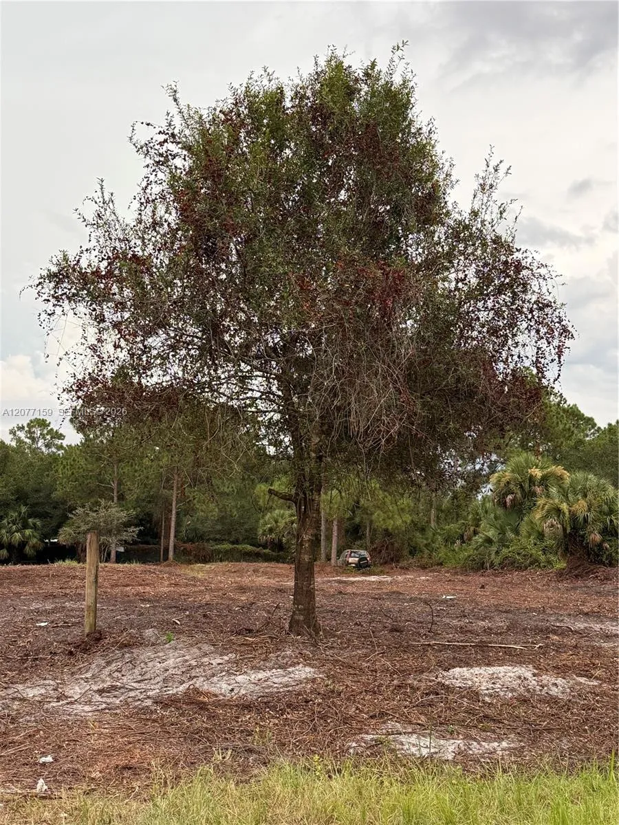 565 S PALOMINO ST Clewiston, FL 33440