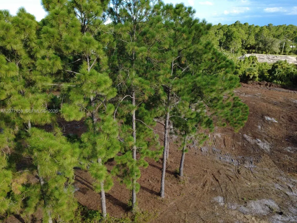 565 S PALOMINO ST Clewiston, FL 33440