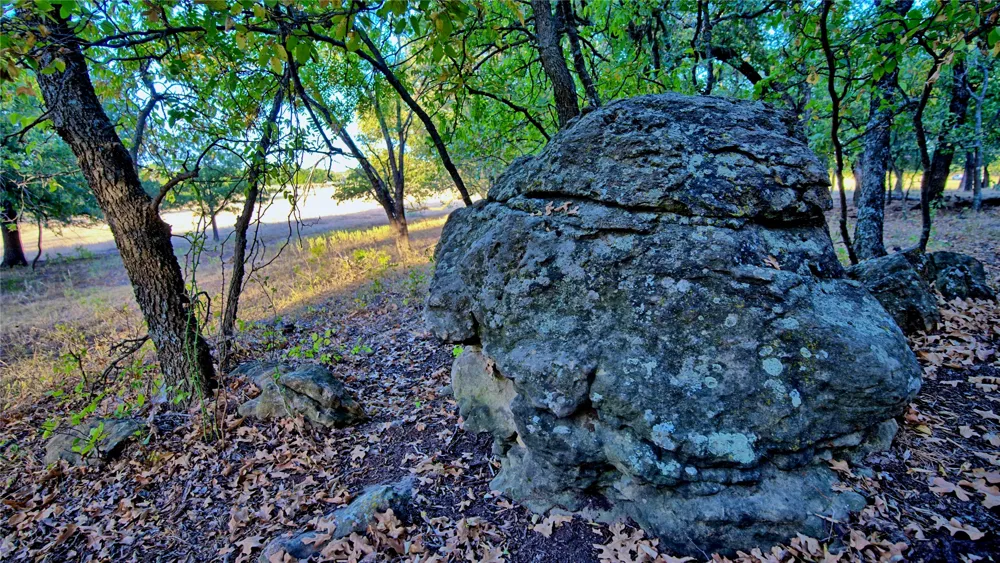 906 Rock Springs School Road Nocona, TX 76255