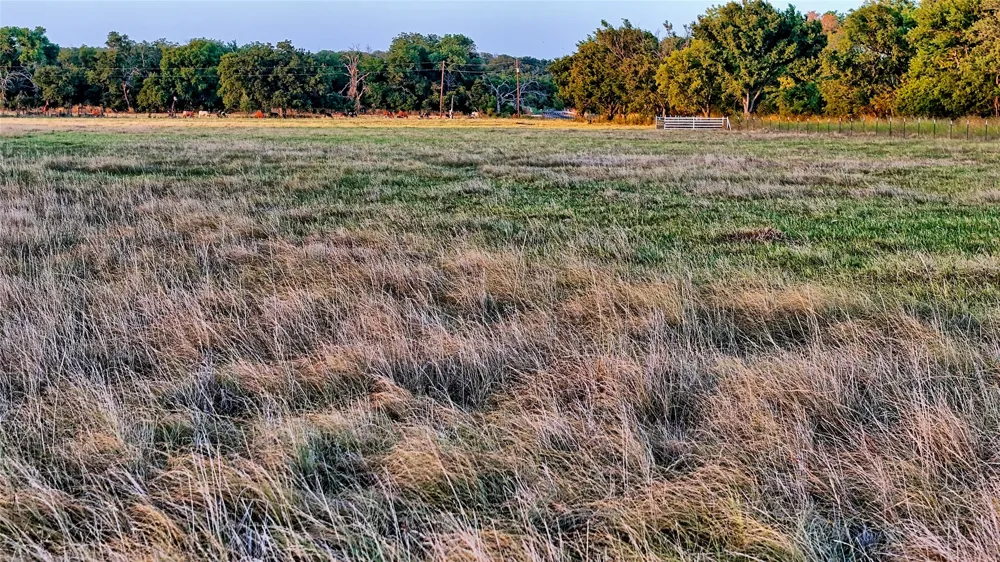 906 Rock Springs School Road Nocona, TX 76255