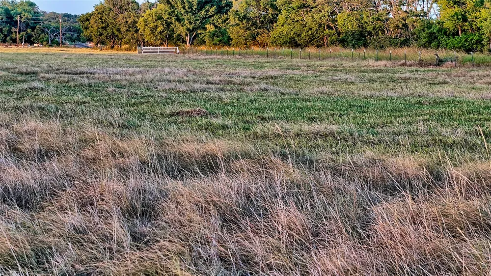 906 Rock Springs School Road Nocona, TX 76255