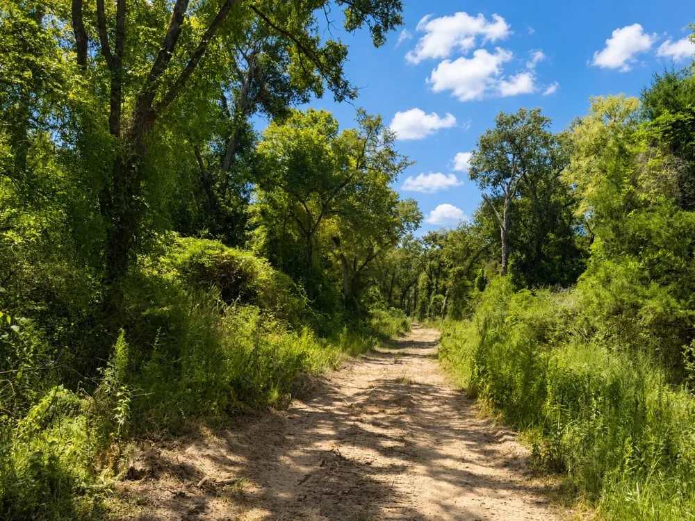 4554 County Rd 426 Marquez, TX 77865