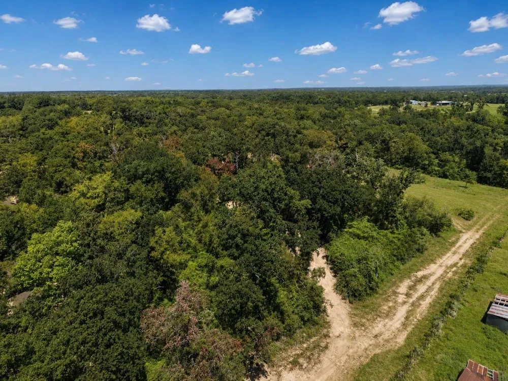 4554 County Rd 426 Marquez, TX 77865