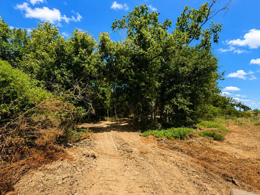 4554 County Rd 426 Marquez, TX 77865
