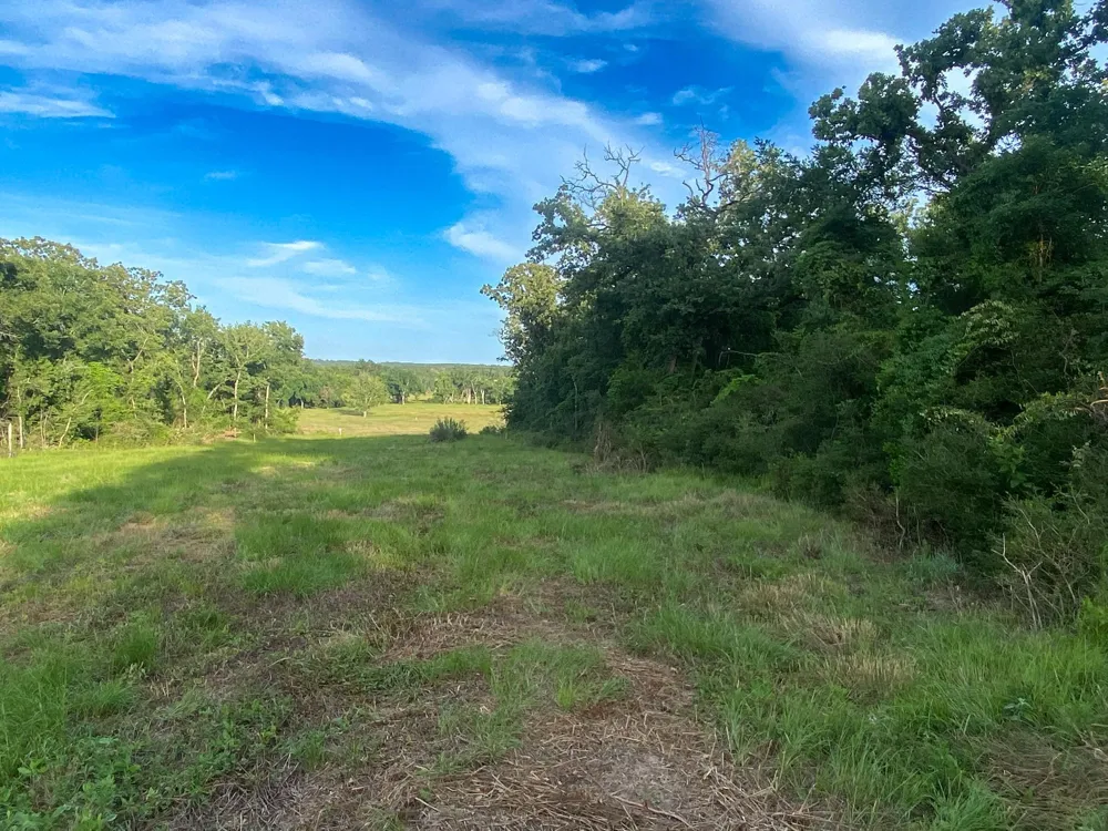 7 County Road 426 Marquez, TX 77865