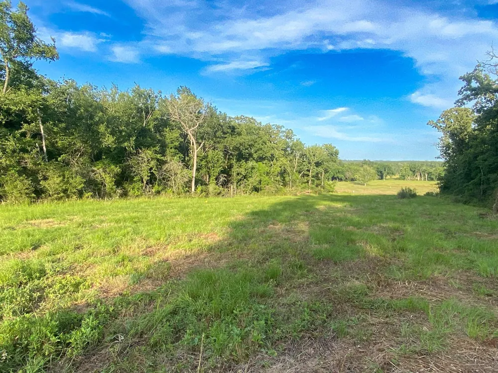 7 County Road 426 Marquez, TX 77865