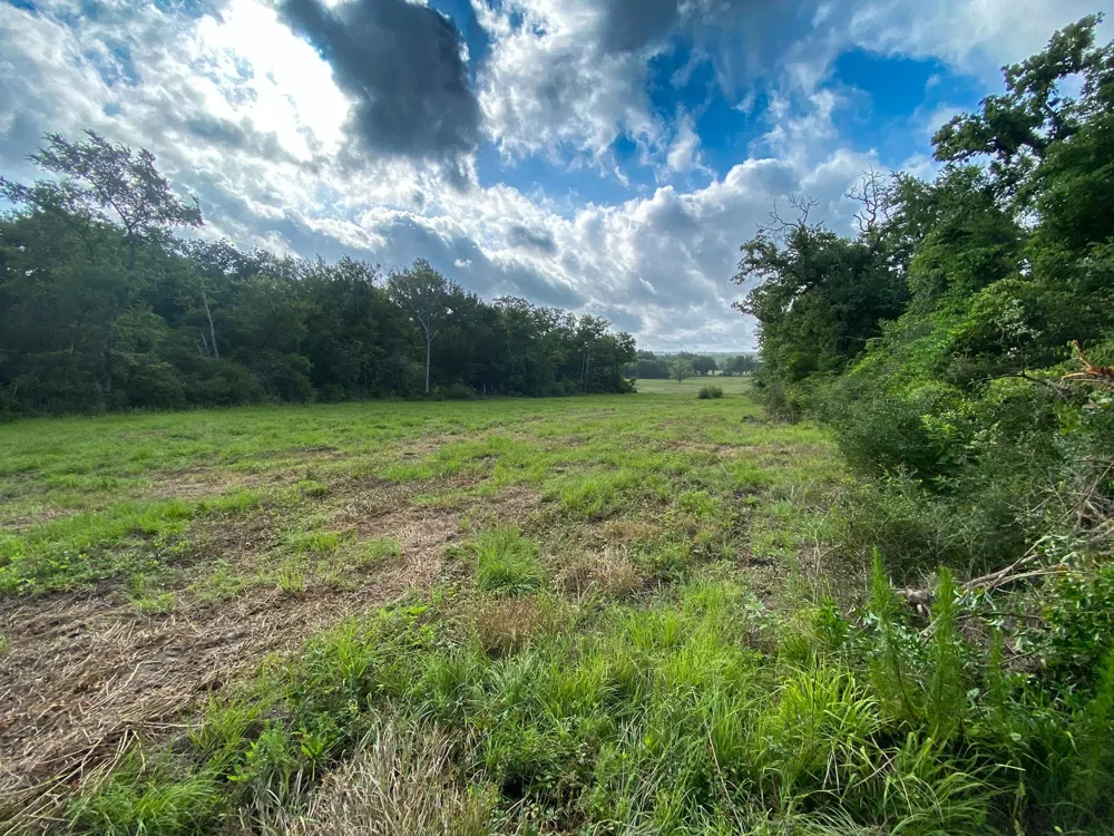 7 County Road 426 Marquez, TX 77865