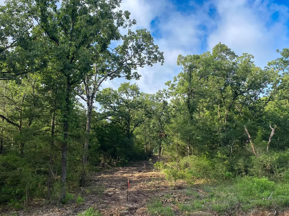 7 County Road 426 Marquez, TX 77865