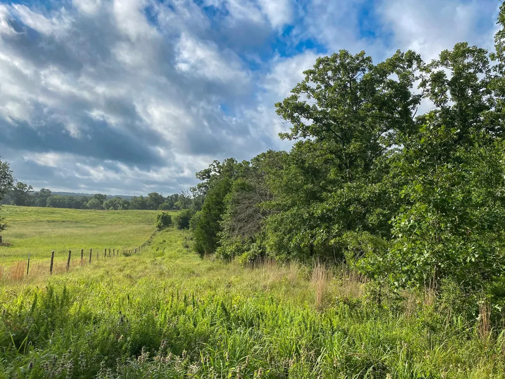 7 County Road 426 Marquez, TX 77865