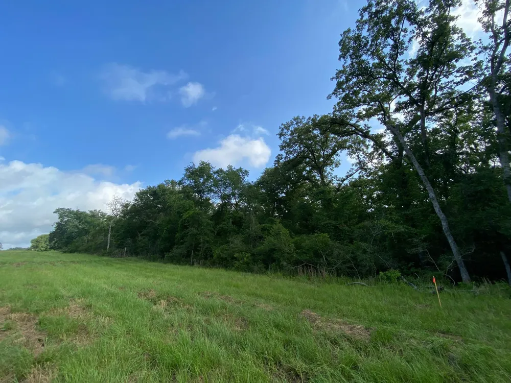 7 County Road 426 Marquez, TX 77865