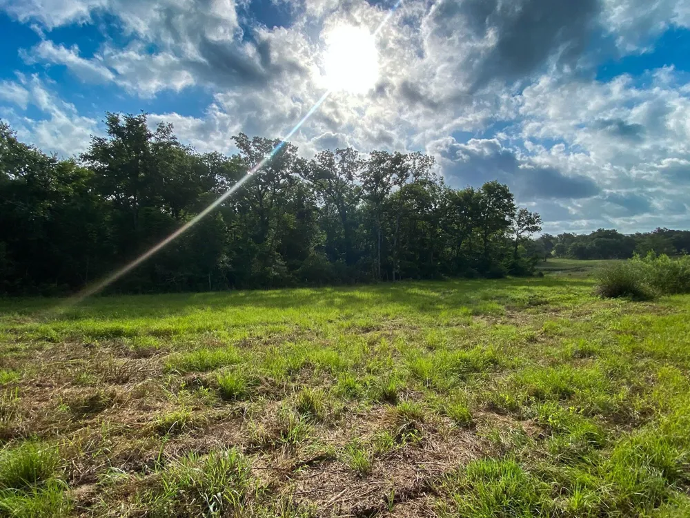7 County Road 426 Marquez, TX 77865