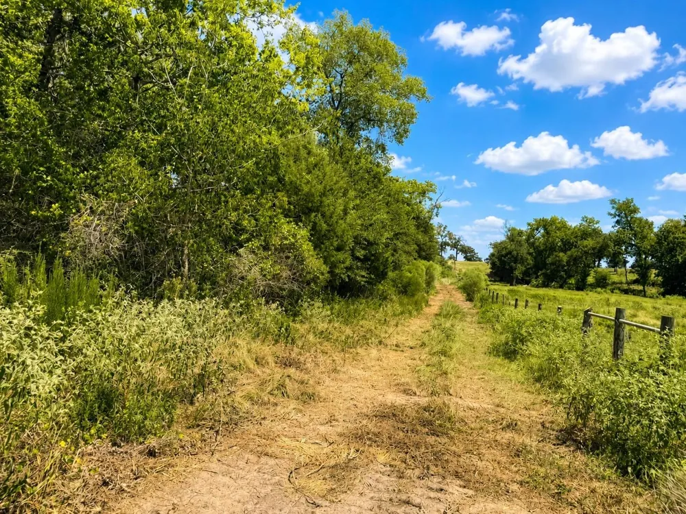 7 County Road 426 Marquez, TX 77865