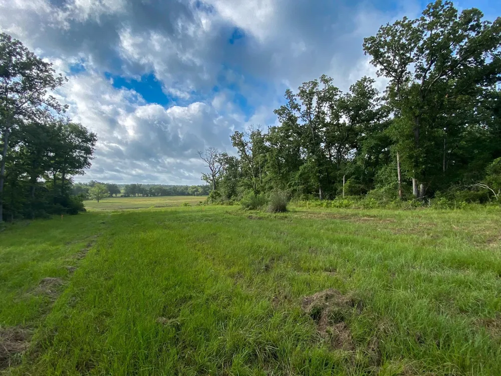 7 County Road 426 Marquez, TX 77865