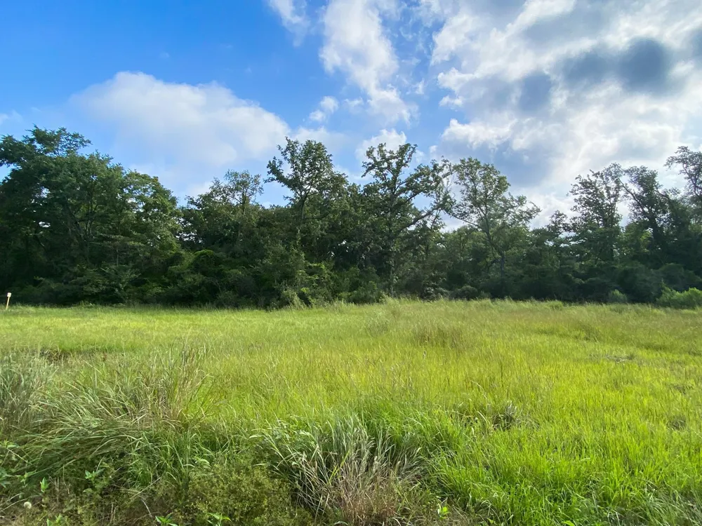 7 County Road 426 Marquez, TX 77865