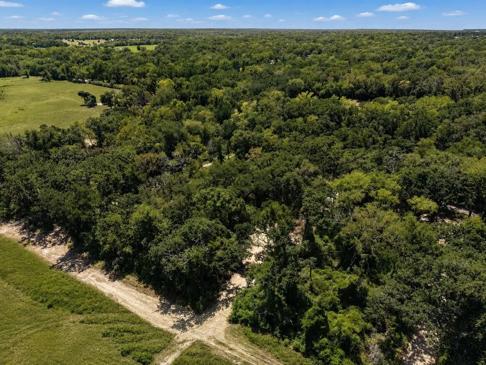 7 County Road 426 Marquez, TX 77865