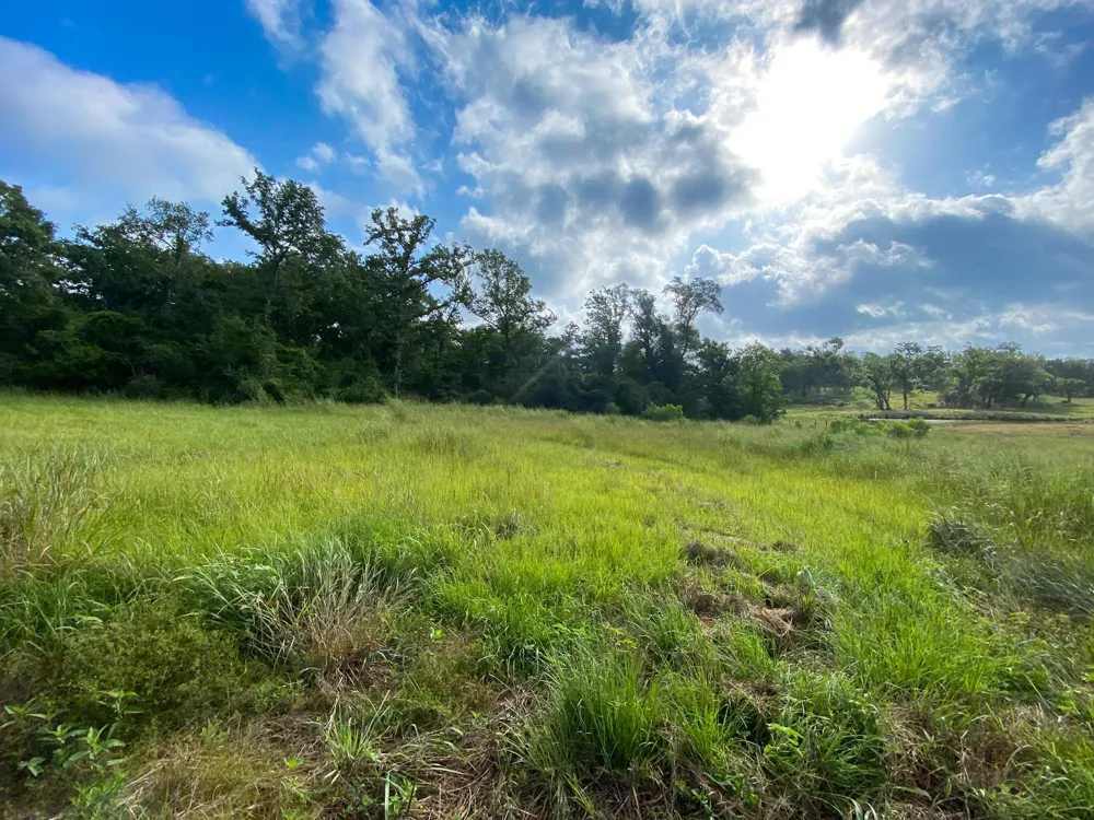 7 County Road 426 Marquez, TX 77865
