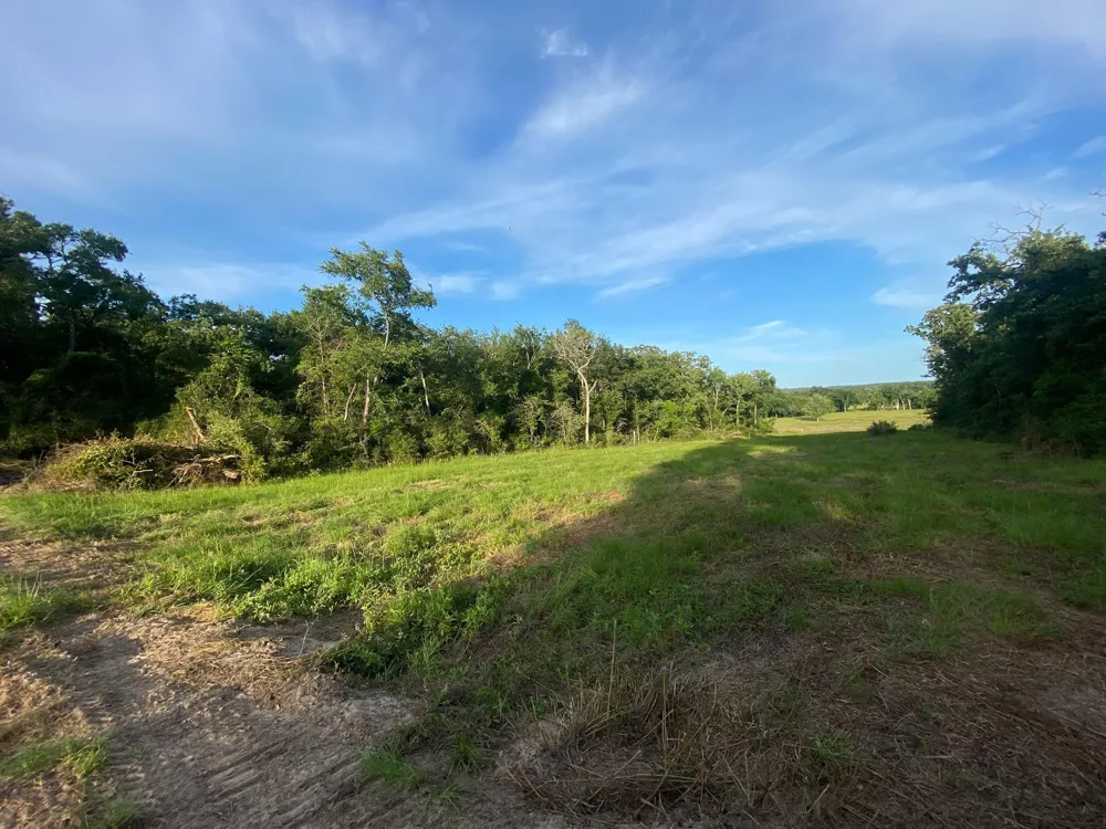 4610 County Road 426 Marquez, TX 77865