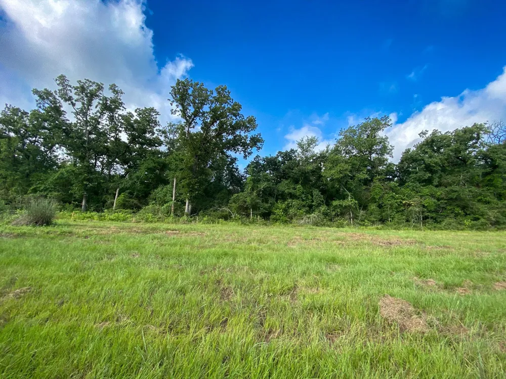4610 County Road 426 Marquez, TX 77865