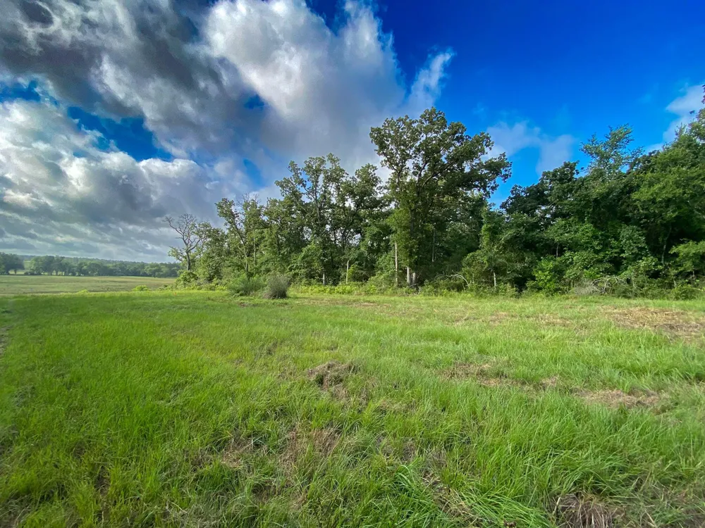 4610 County Road 426 Marquez, TX 77865