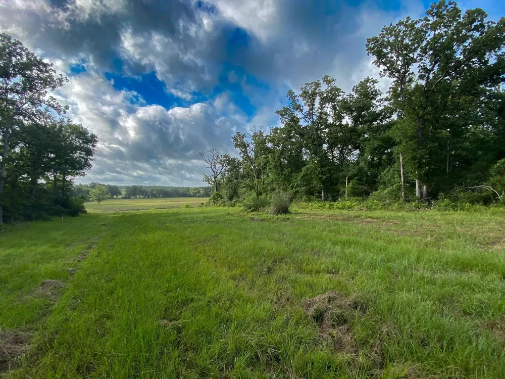 4610 County Road 426 Marquez, TX 77865
