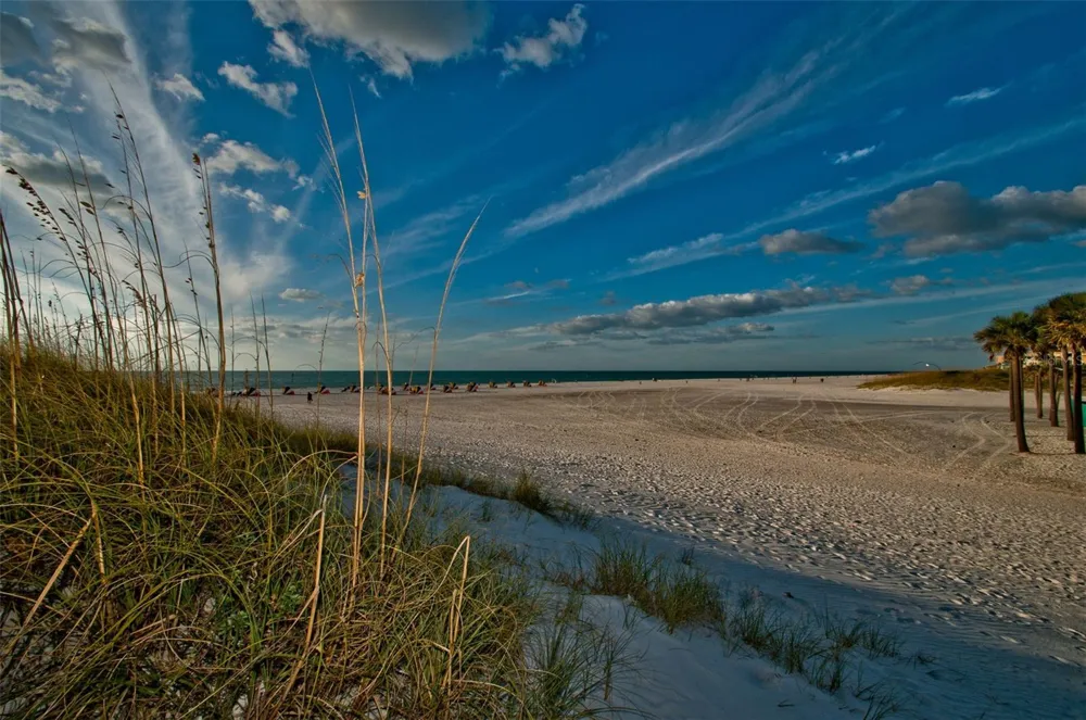 673 BAY ESPLANADE #109 Clearwater, FL 33767