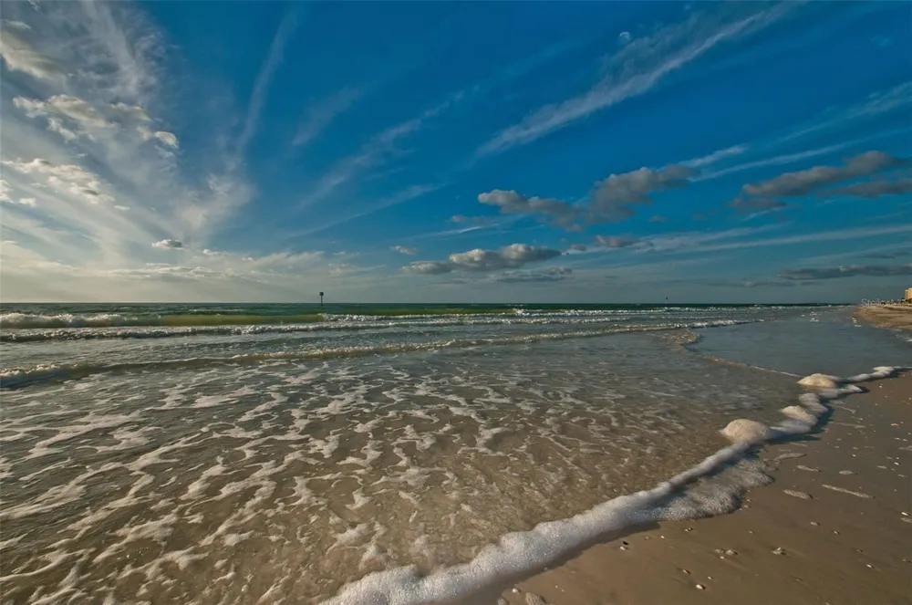 673 BAY ESPLANADE #109 Clearwater, FL 33767