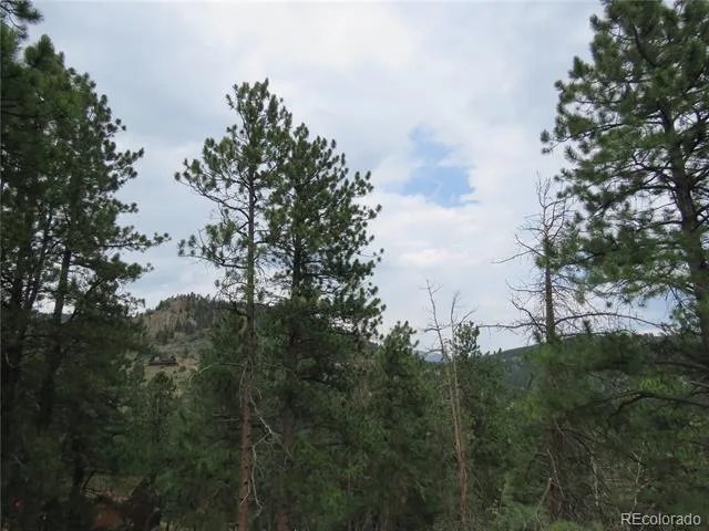 1899 Roland Drive Bailey, CO 80421