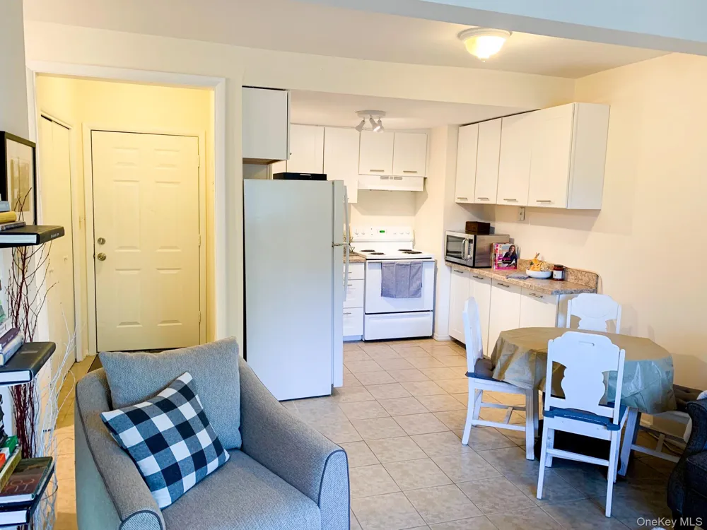 23 Pearl Street #8 Livingston Manor, NY 12758