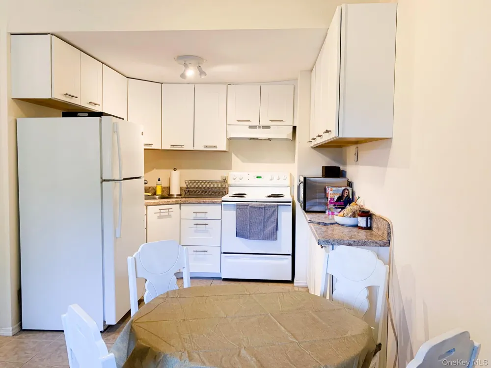 23 Pearl Street #8 Livingston Manor, NY 12758